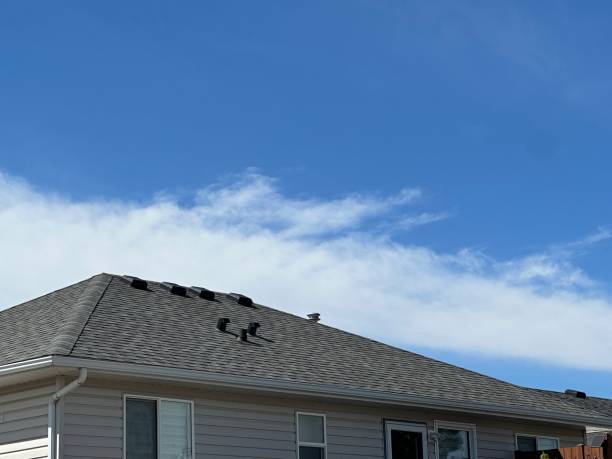 Best Solar Panel Roofing Installation  in Easley, SC